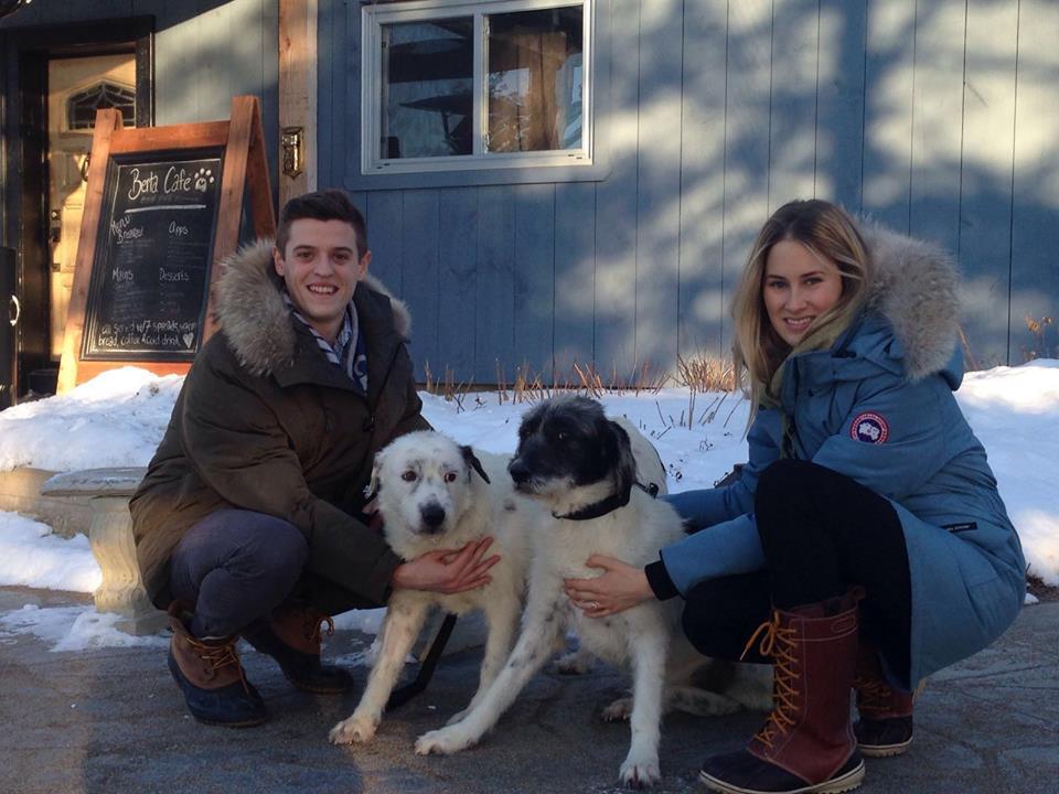 perros adoptados de refugio