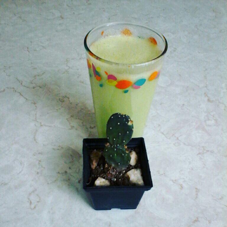 Cómo hacer un poderoso y saludable licuado de nopal