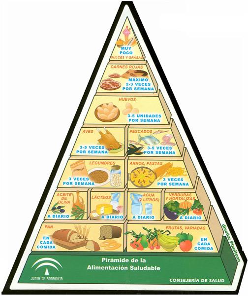 piramide alimentacion