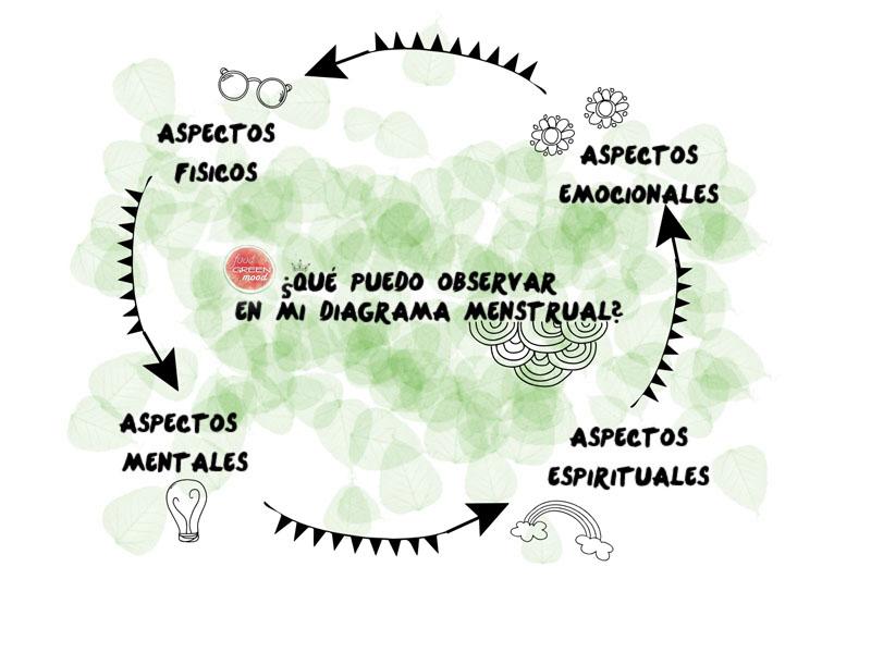 que_observar_en_mi_diagrama_menstrual