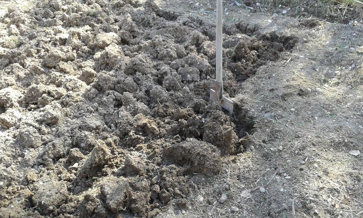 Levantamos la tierra con un tridente