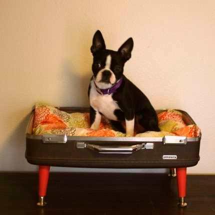 cómo hacer una cama para perro con una maleta antigua