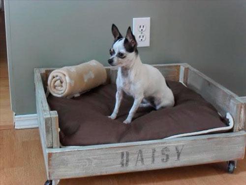 cómo hacer una cama para perro con pallets de madera