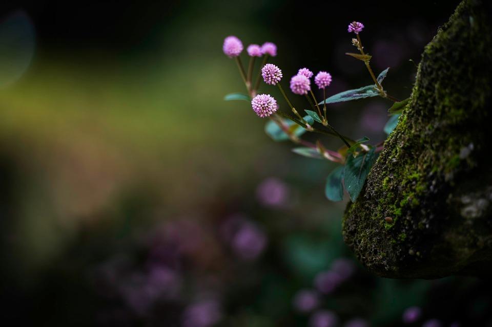 Dreams of Love, una sesión de inspiración en All Lovely Party