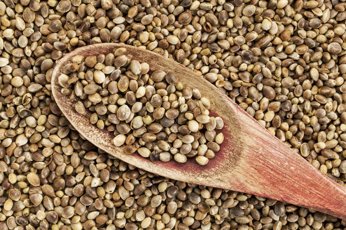 Beneficios-de-las-semillas-de-canamo-3