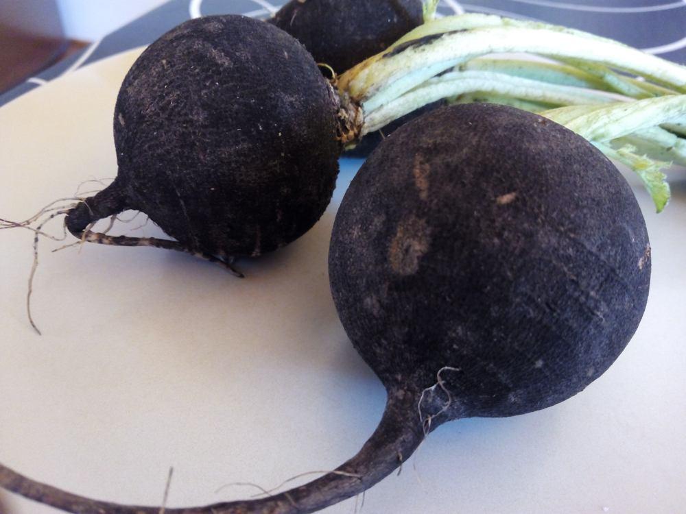 Rábano negro desintoxicante