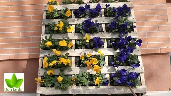 Servicio de jardneri 