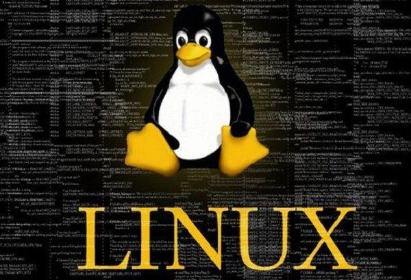 Algunas personas prefieren linux