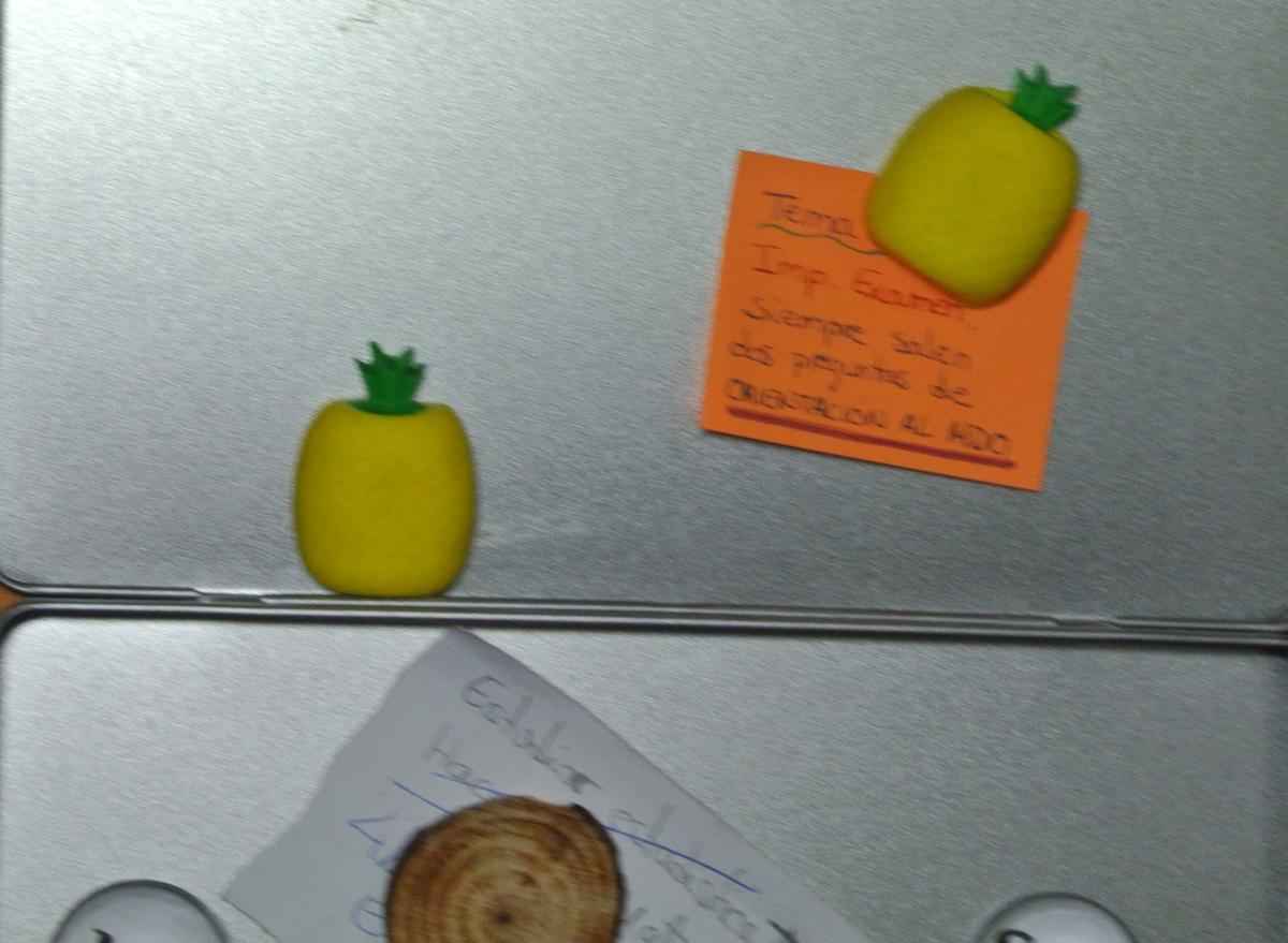 Imanes en forma de piña