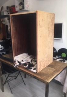 2 mueble Angel vaca sin empezar