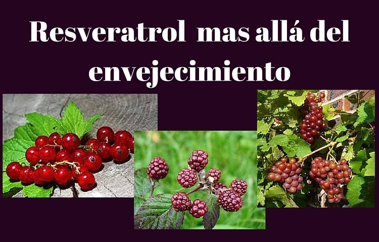 resveratrol_mas_alla_del_envejecimiento