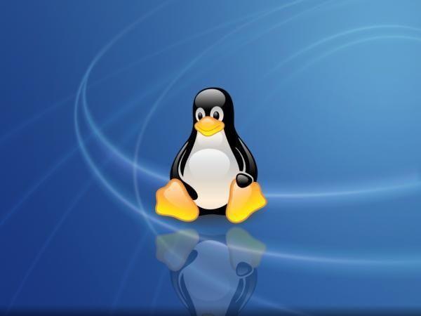 Linux fácil de usar