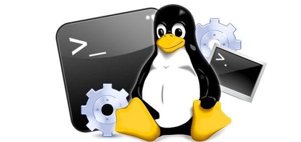 Linux para gestionar servidores web