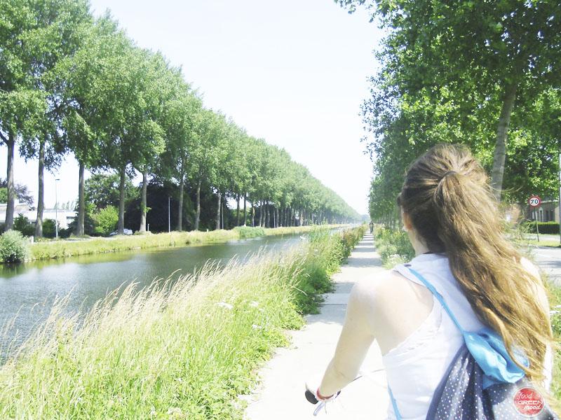 bicicleta_ejercicio_fisico