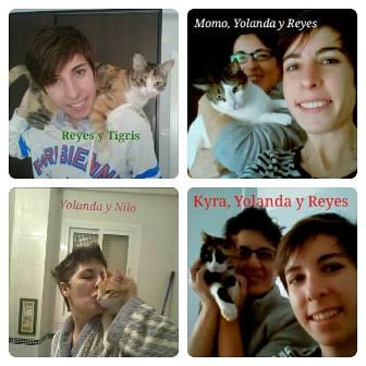 11185832_954023527965169_1699380685_n