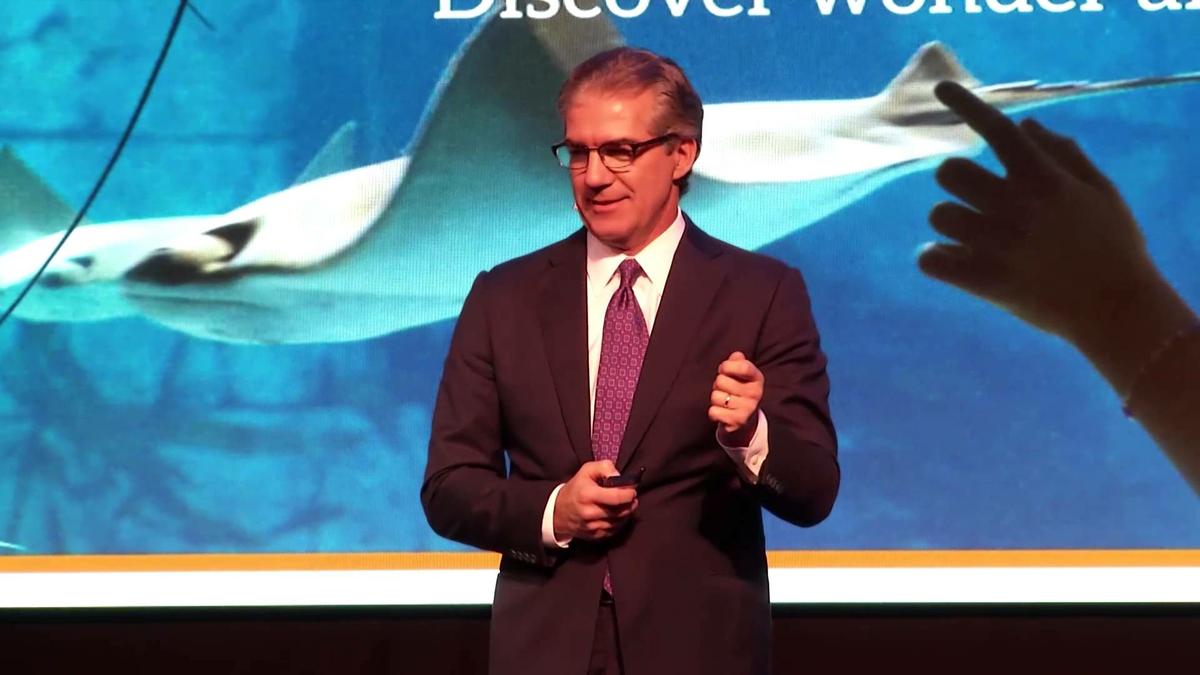 Foto_Joel Manby_Orcas