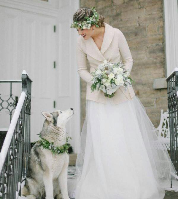perros en bodas 10