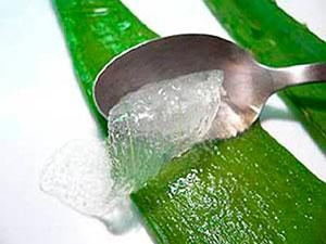 aloe vera piel seca
