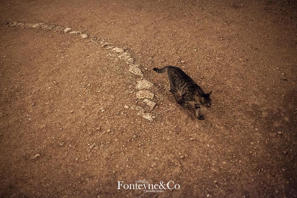 Megan&Dan by Fonteyne&Co_0479