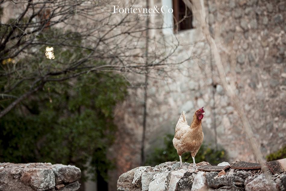 Megan&Dan by Fonteyne&Co_0377