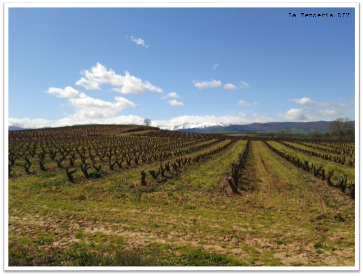 (0.2) La Tenderia DIY_Sillas para la cocina
