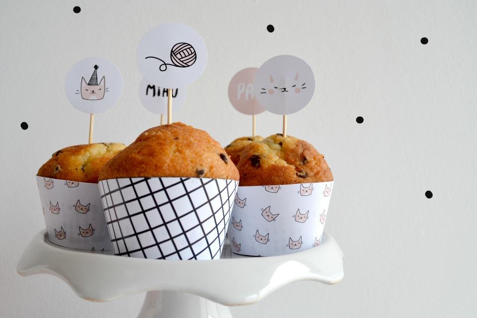 Littel Kitten,una fiesta gatuna en All Lovely Party