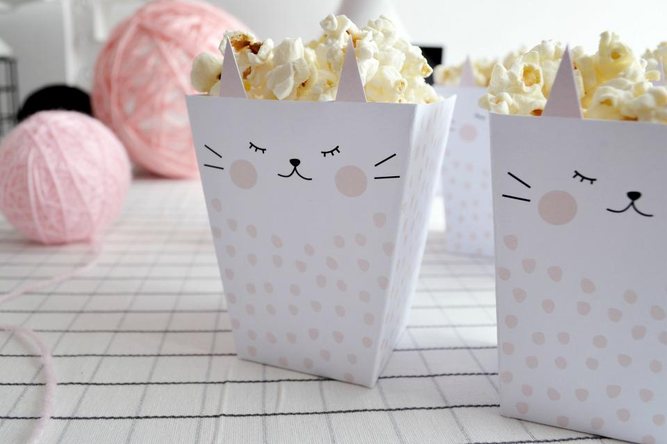 Littel Kitten,una fiesta gatuna en All Lovely Party