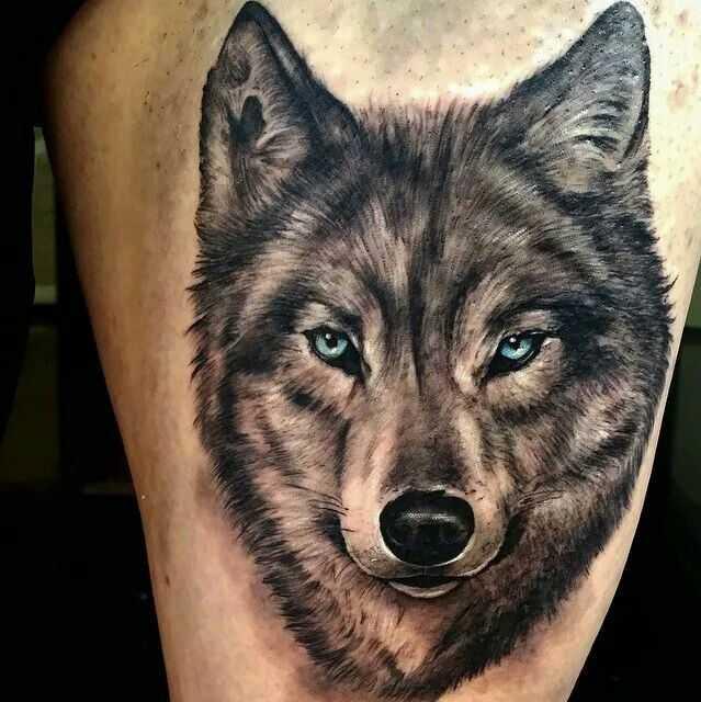 Tatuajes de lobos para hombre
