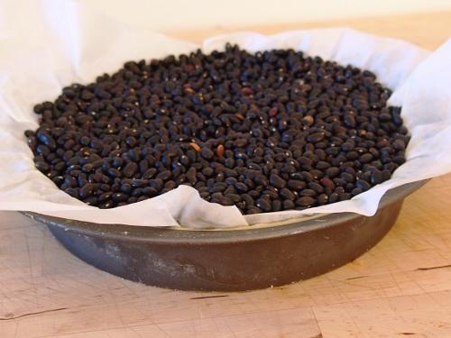 ??????????????????????