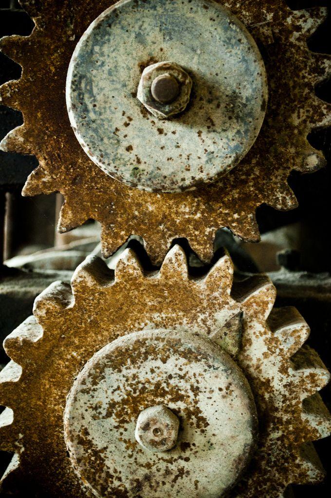 Abundancia en la vida