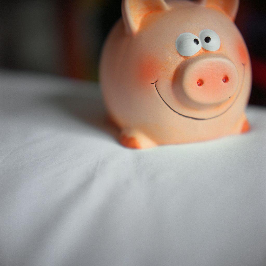 Abundancia en la vida