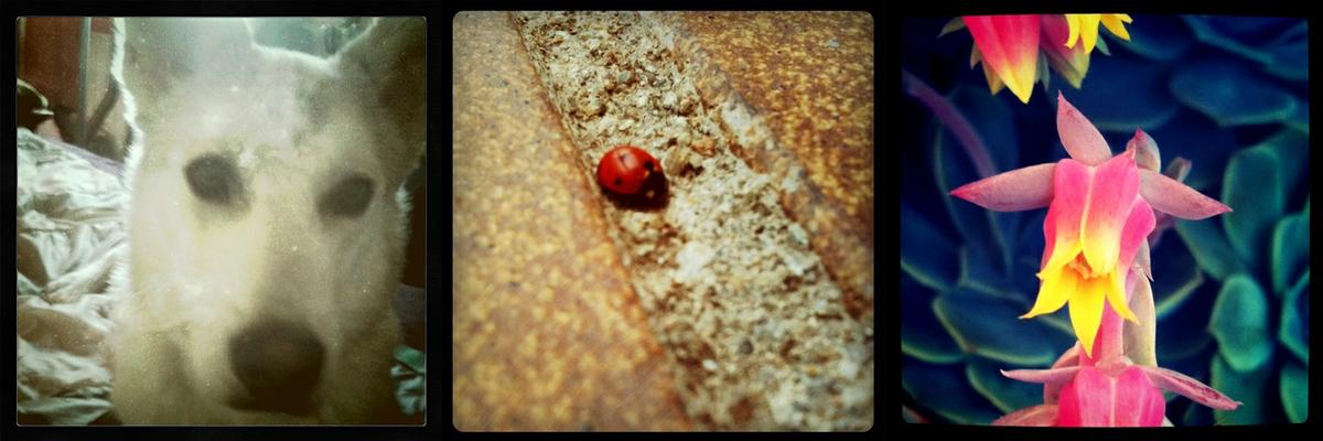 Mis primeras fotos en Instagram