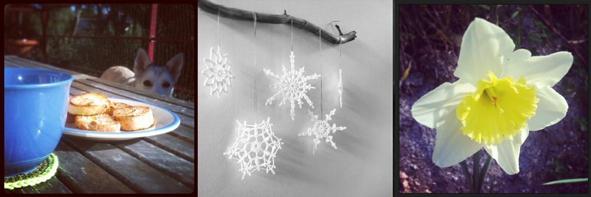 Mis primeras fotos en Instagram 2013