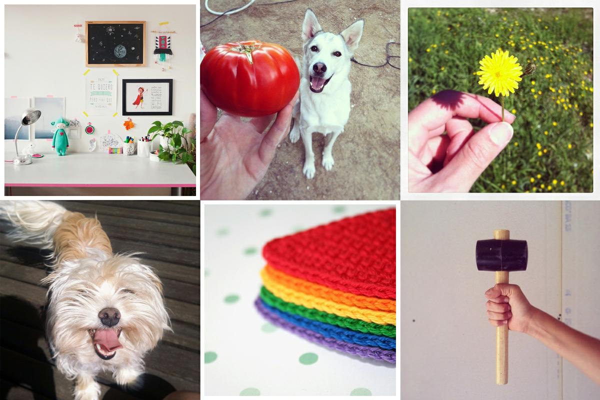 Mis fotos en Instagram 2014