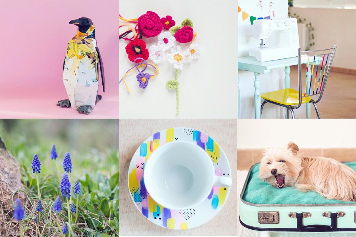 Mis fotos en Instagram 2016