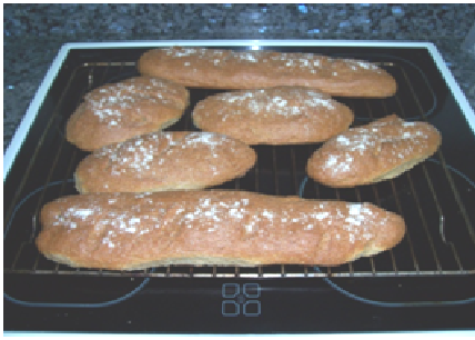 Sin título1111111111