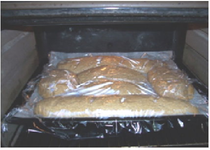 Sin título111111111