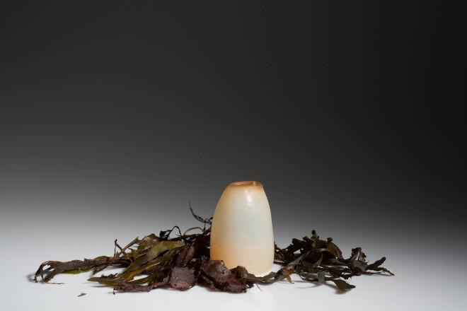 Botellas de agua biodegradables