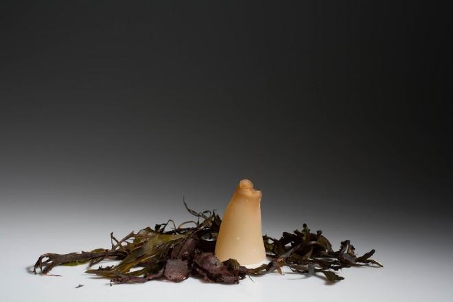 Botellas de agua biodegradables