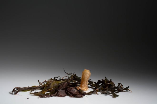 Botellas de agua biodegradables