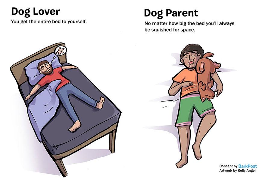 amantes de los perros vs padre de un perro