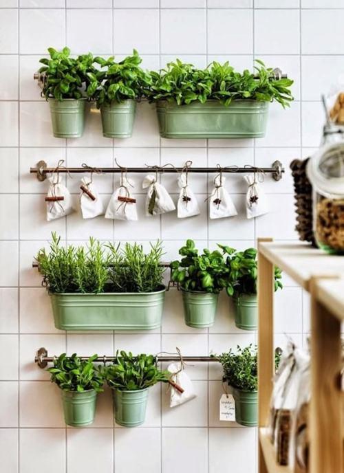 Decorar con plantas