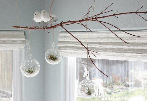 Decorar con plantas