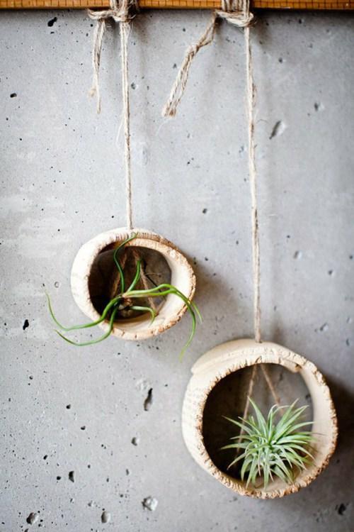 Decorar con plantas