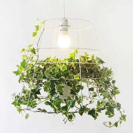 Decorar con plantas