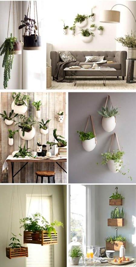 Decorar con plantas
