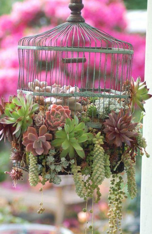 Decorar con plantas