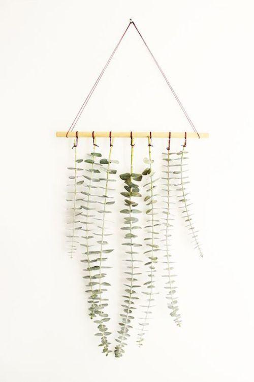 Decorar con plantas