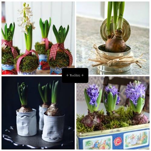 Decorar con plantas