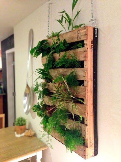 Decorar con plantas
